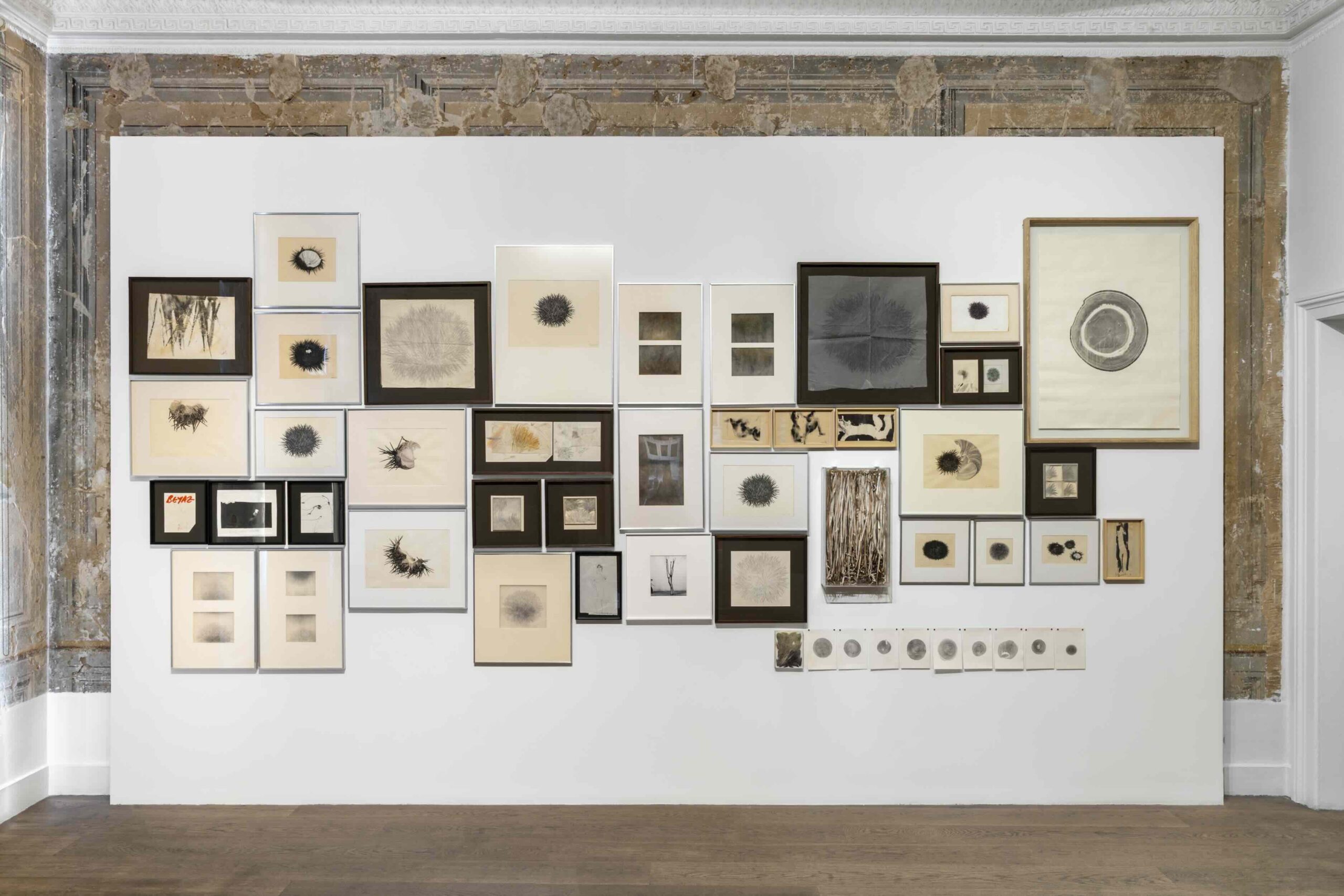 Kayada Büyüdüm Ben