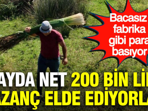 2 ayda net 200 bin lira kazanc elde ediyorlar bacasiz fabrika gibi para basiyor l6mg2IVV