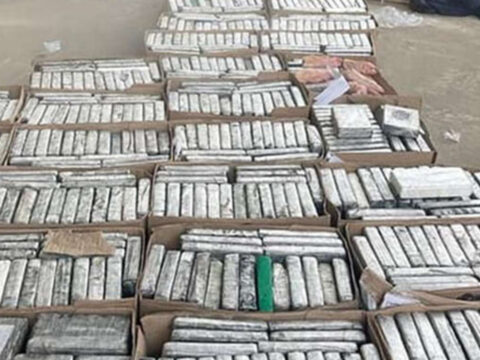 Haber gorseli